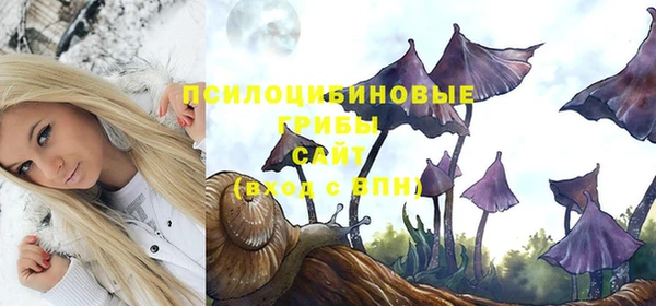 экстази Корсаков